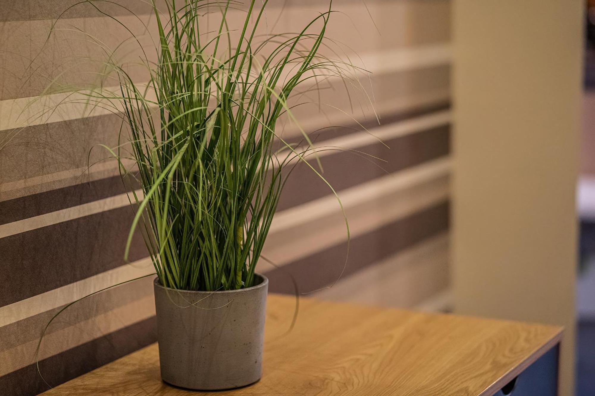 Apartment Kelemen Szegedin